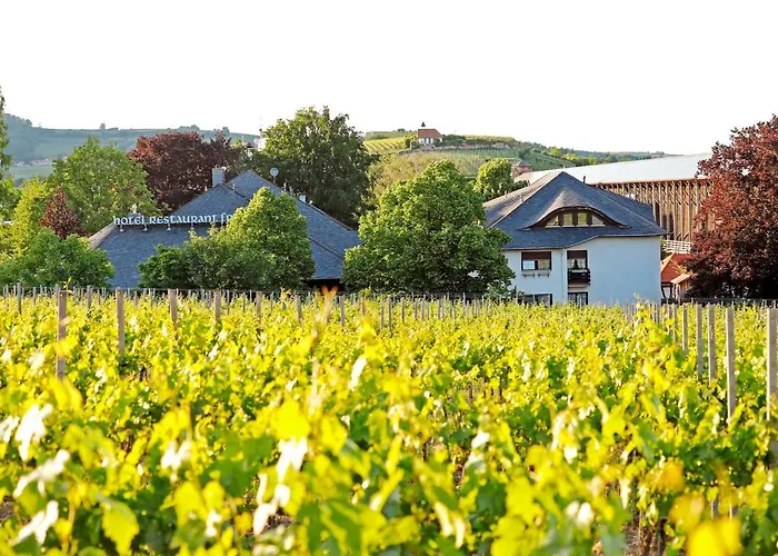 Restaurant Fronmuehle 3 Sterne Superior 3* バート・デュルクハイム